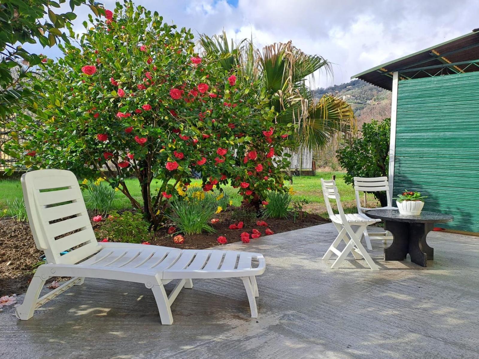 Villa Sunny House Carasco Exterior foto