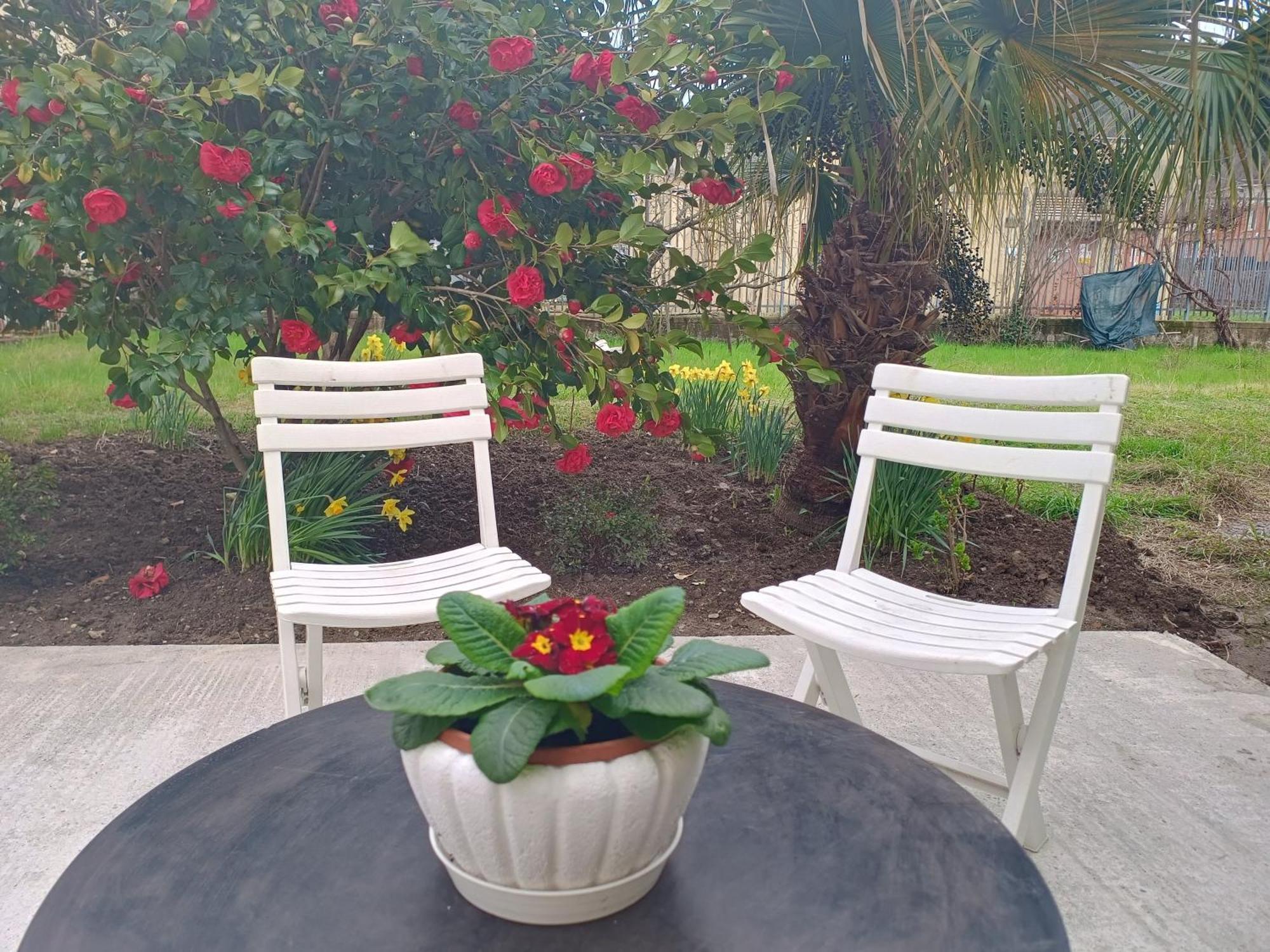 Villa Sunny House Carasco Exterior foto