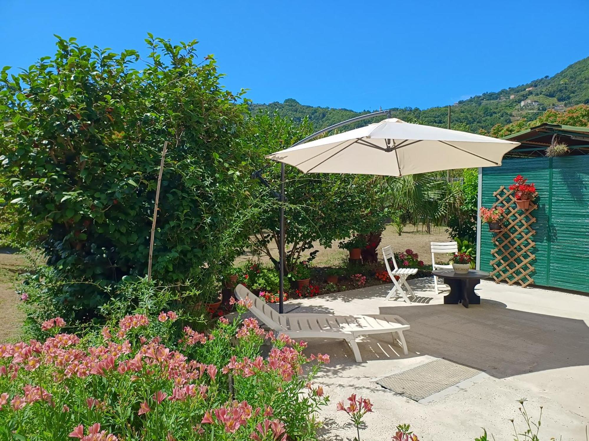 Villa Sunny House Carasco Exterior foto
