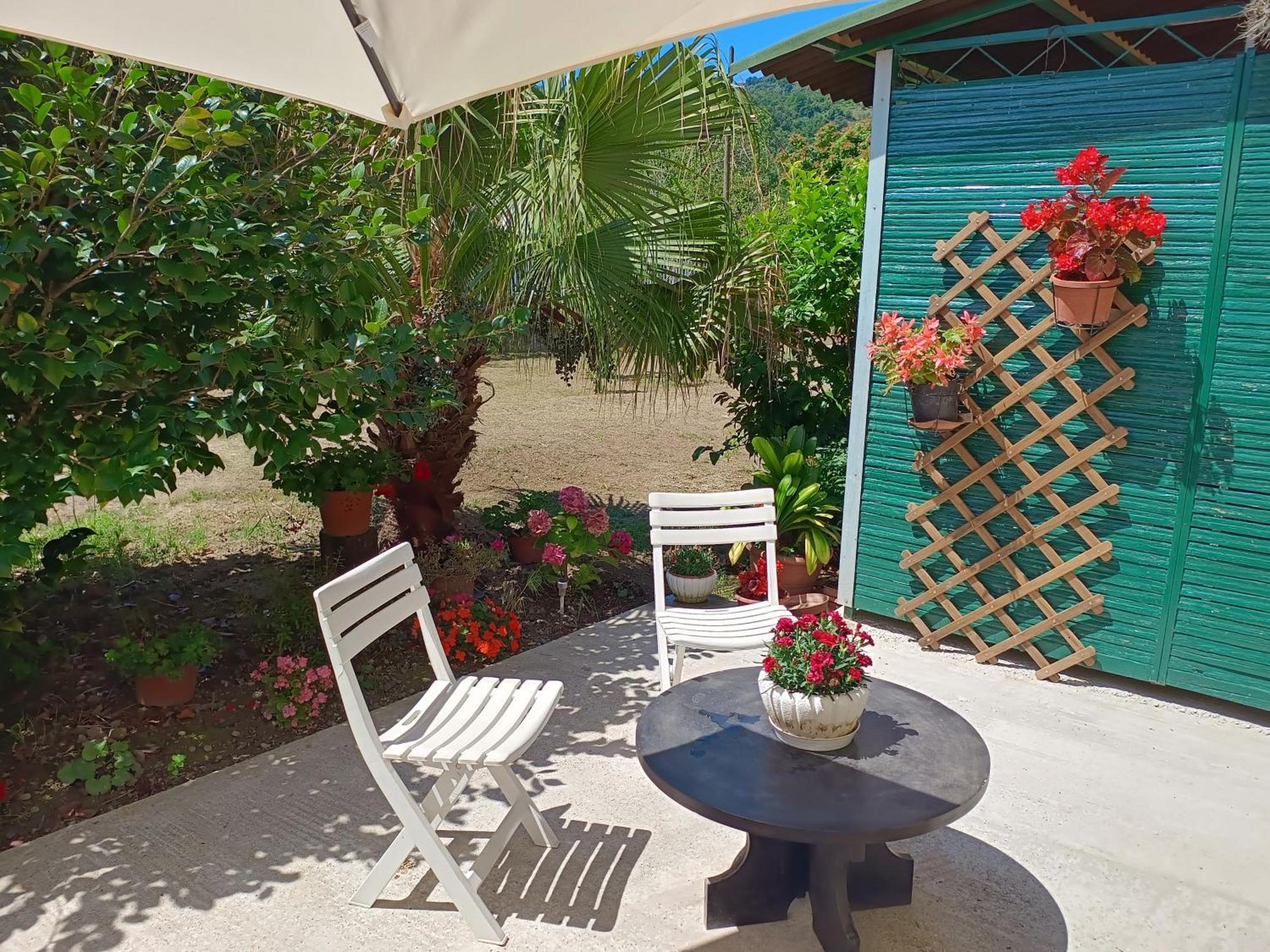 Villa Sunny House Carasco Exterior foto